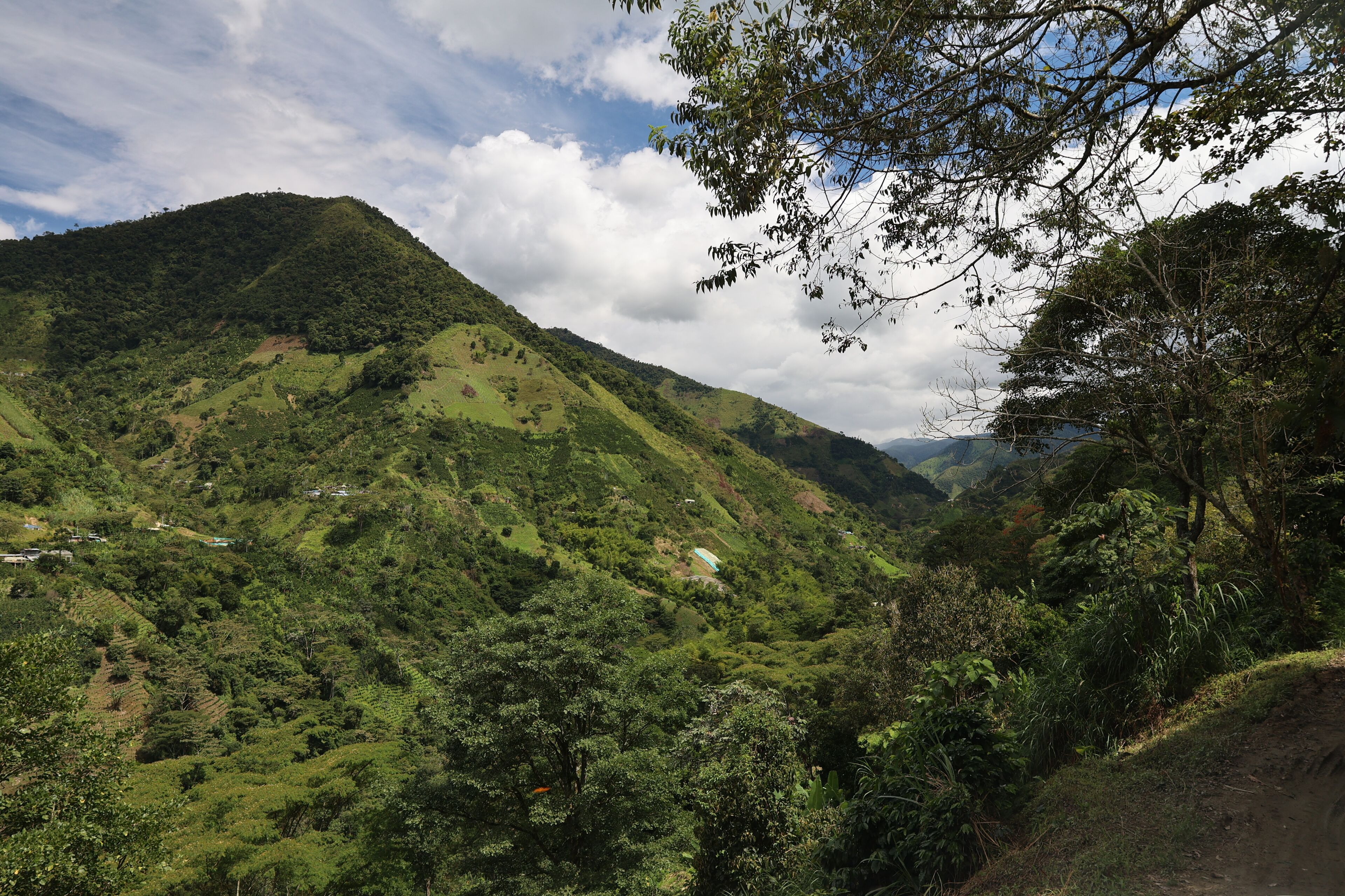 Colombia