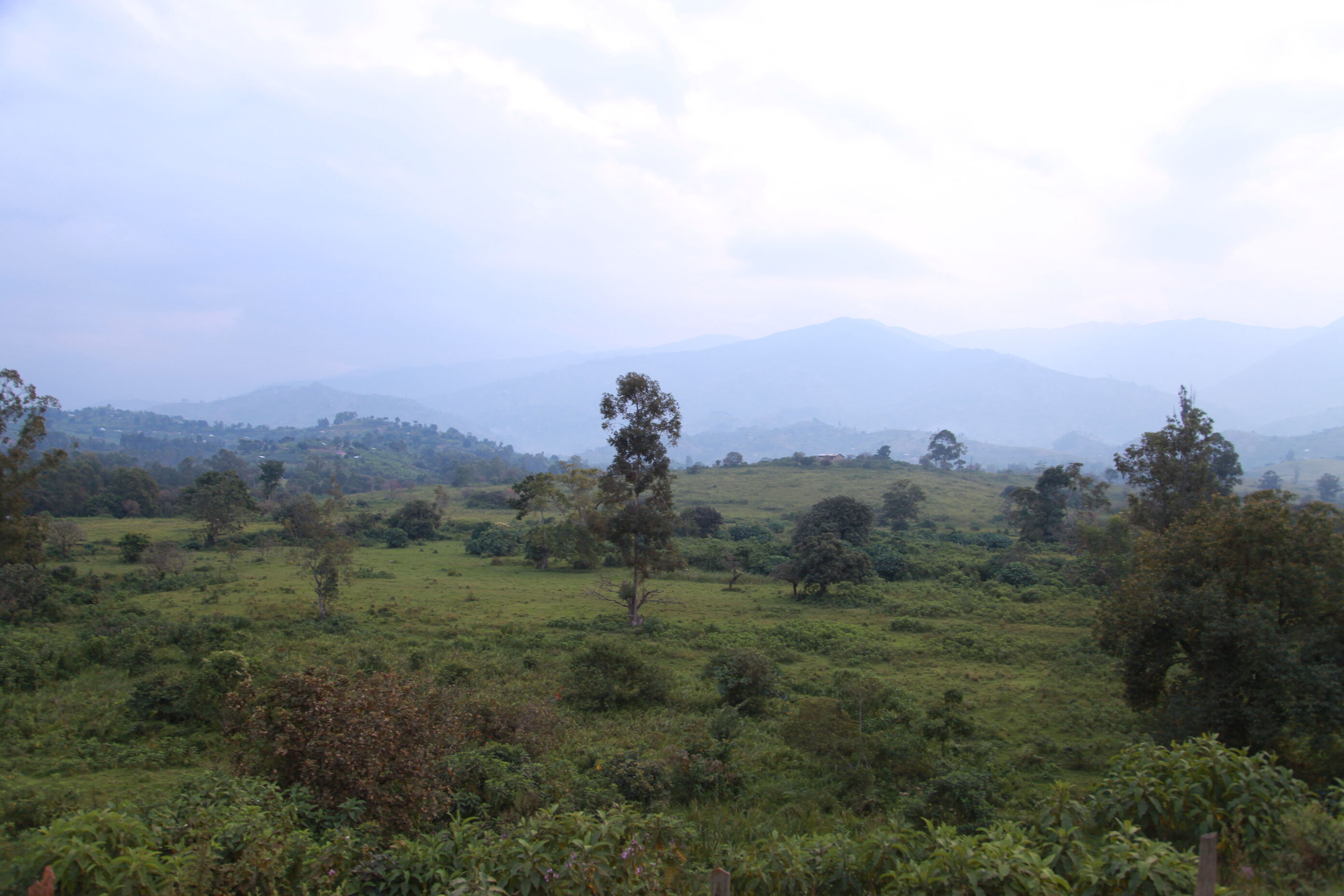 République Démocratique du Congo