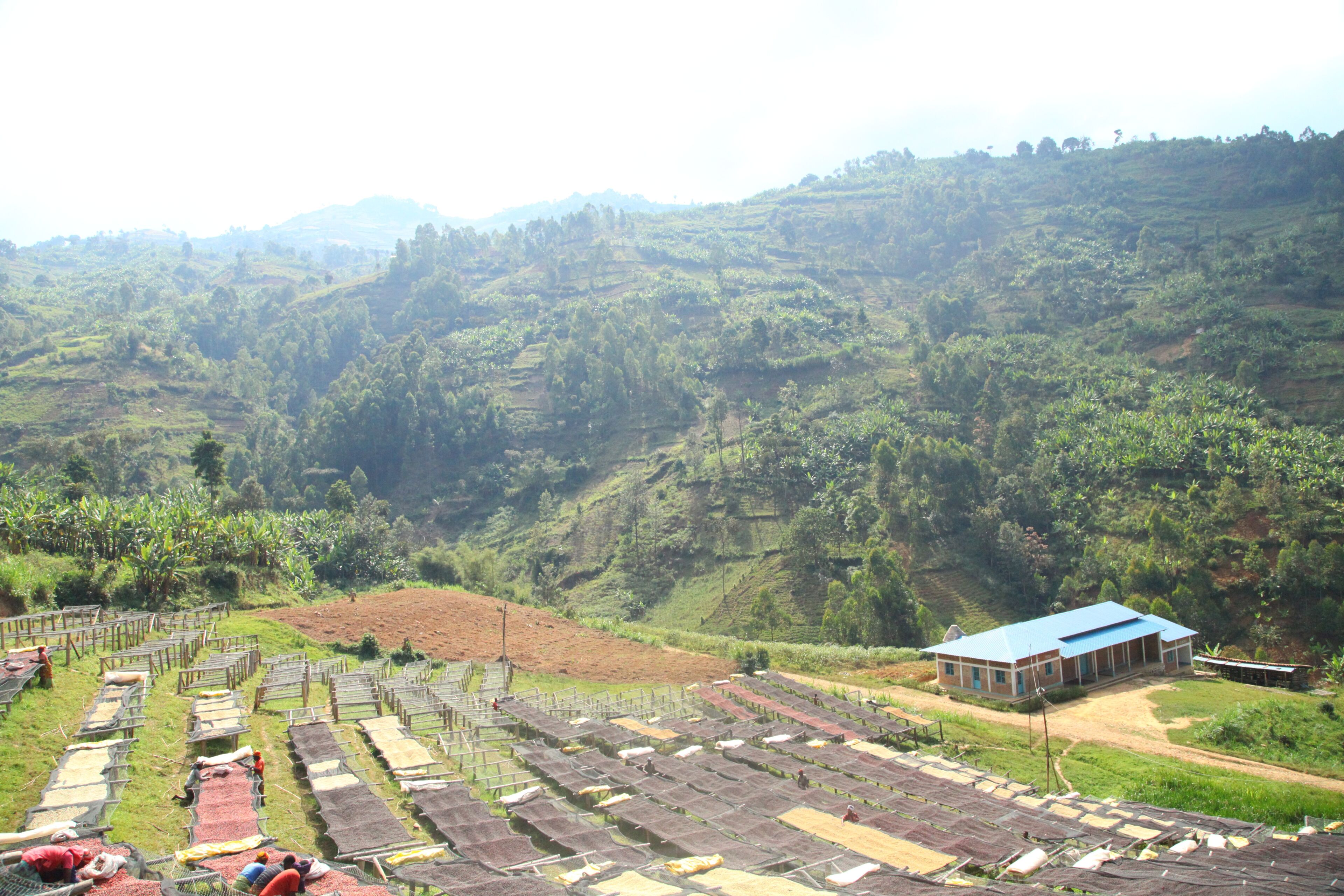 Burundi