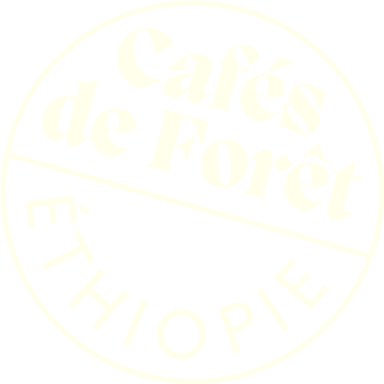 Les Cafés de Forêt©